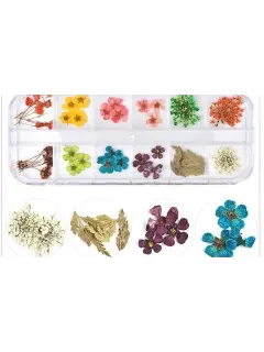 DECORACION NATURALEZA MUERTA X 12